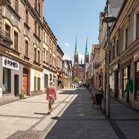 Central Platinum Apartments 28 Z Balkonem Rybnik  Buitenkant foto